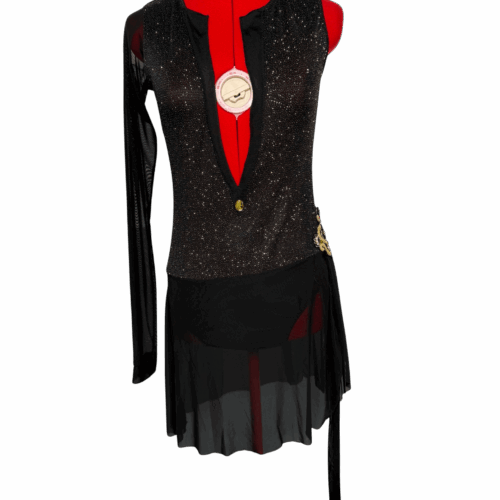 Black sparkly leotard with 1 sleeve & mesh skirt - RENTAL - Size ?