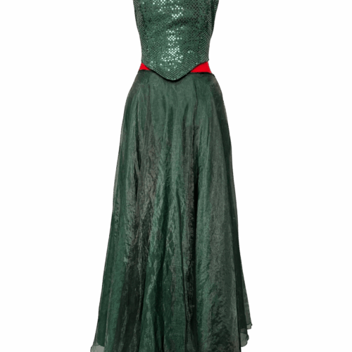 Dark green sequined lace up top & organza skirt - RENTAL - Size?